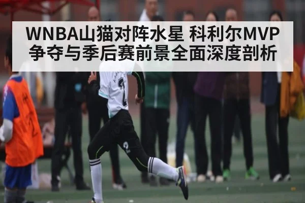 WNBA山猫对阵水星 科利尔MVP争夺与季后赛前景全面深度剖析